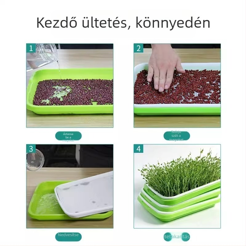 Csíranövény-tálca csíráztatáshoz, erkélyi hidroponikára és talajmentes zöldségtermesztésre; babcsíra, búza és fokhagyma csíranövények.