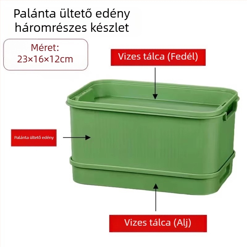 Csíranövény-tálca csíráztatáshoz, erkélyi hidroponikára és talajmentes zöldségtermesztésre; babcsíra, búza és fokhagyma csíranövények.