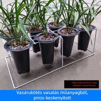 Vasból készült, hegesztett orchidatároló/állvány, légáteresztő és tartós, padlóra szerelhető, egyszerű stílus, otthoni kertészkedéshez