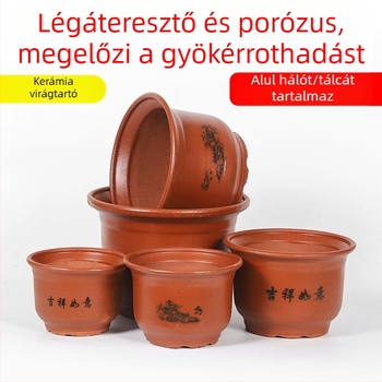 Lila homokos kerámia virágtartó szukulentákhoz, bonsaihoz és virágzó növényekhez - nagy piros kerámia