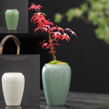 Kompakt vintage kerámia virágtartó succulensekhez, lélegző, asztali vagy padlóra helyezhető, tálcával