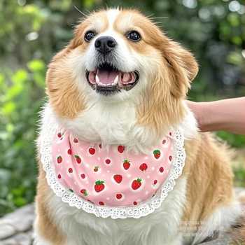 Alaiszka aranyos kutyás sál nyálvédővel – Husky, Golden Retriever és Samoyed; háromszög alakú sál nagy- és közepes méretű kutyáknak