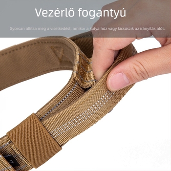 Nagytestű kutyáknak nylon nyakörv és póráz, például Golden Retriever és Németjuhász