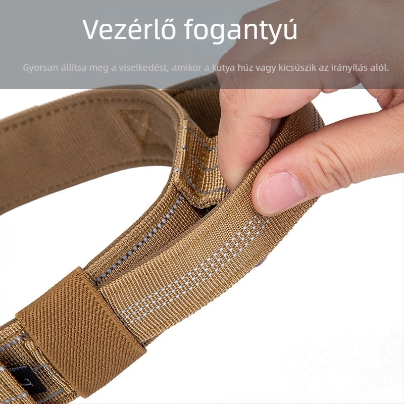Nagytestű kutyáknak nylon nyakörv és póráz, például Golden Retriever és Németjuhász
