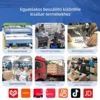 Állítható csipkés sál macskáknak és kutyáknak, aranyos kiegészítő háziállatok számára