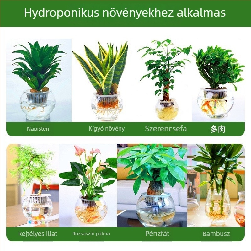 Önöntözős, átlátszó műanyag virágtartó belső hidroponikához, asztali vagy álló elhelyezéshez, egyszerű stílus.