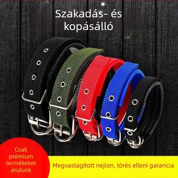 Közepes méretű kutyák nyakörve, Golden Retriever stílusú, tartós dupla csatú