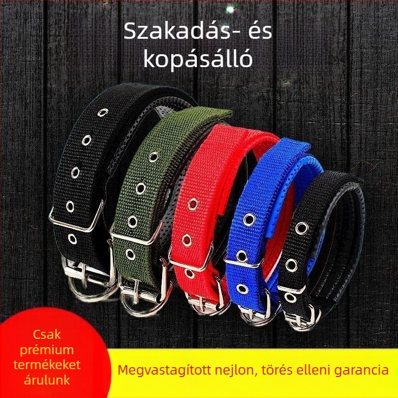 Közepes méretű kutyák nyakörve, Golden Retriever stílusú, tartós dupla csatú