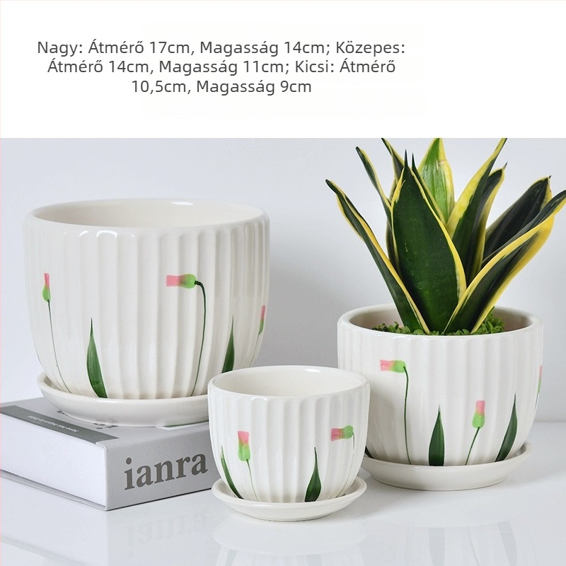 3 darabos kerámia virágcserép-készlet, glazúrozott, minimalist stílus, asztalra vagy padlóra, beltéri Phalaenopsis orchideákhoz