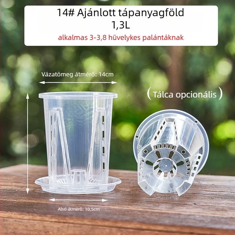 Orchidea gyökérkontrollos virágtartó, átlátszó műanyag, lélegző (injektációs formázású) – falra, asztalra, padlóra vagy függő használatra