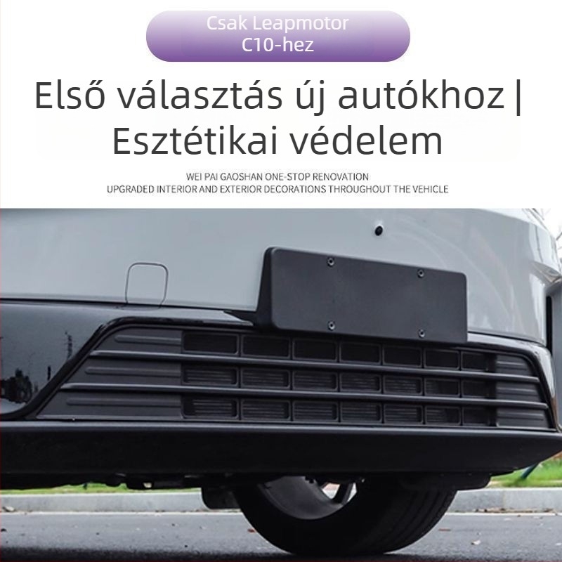Módosítási kiegészítő: szúnyogháló a levegő beömlőhöz Leapmotor C10/C16 – víztartály levegő kivezetésének védelme