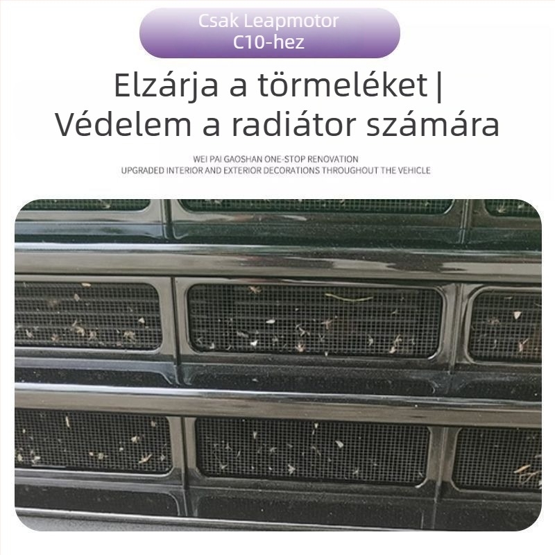 Módosítási kiegészítő: szúnyogháló a levegő beömlőhöz Leapmotor C10/C16 – víztartály levegő kivezetésének védelme