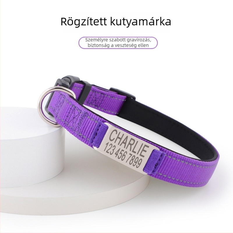 Személyre szabott nylon kutya nyakörv és póráz – egyedi design, Instagram-stílus, kutyáknak