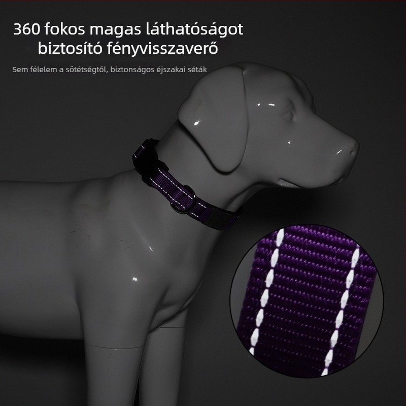 Személyre szabott nylon kutya nyakörv és póráz – egyedi design, Instagram-stílus, kutyáknak