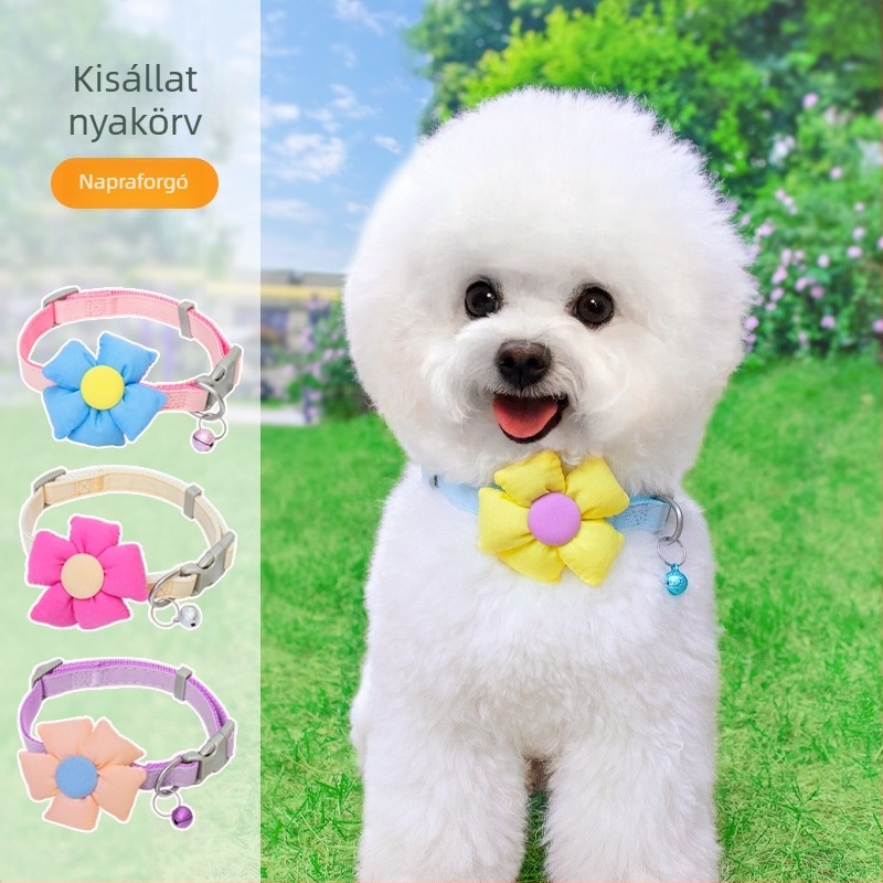 Erős kutyanyakörv minden méretű kutyának, ideális corgi és bichon számára, kültéri használatra, csatlakoztatható a pórázhoz