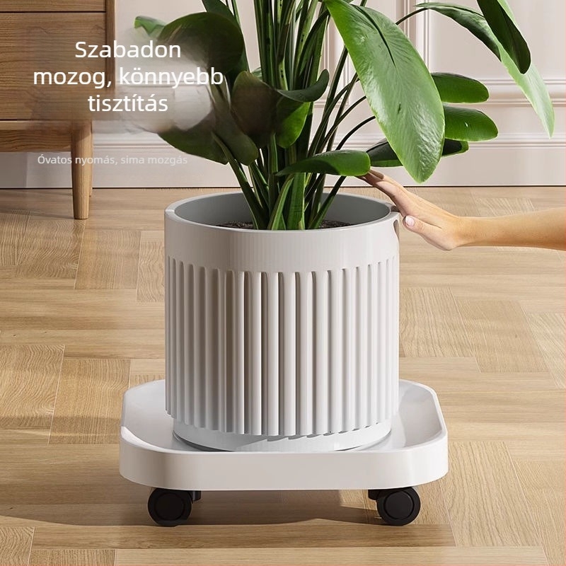 PP anyagú tálca tartó, padlón álló, otthoni kertészkedés, injekciós öntés műanyag (Típus: Tálca/tartó; Anyag: PP; Használat: Padlón álló; Alkalmazás: Otthoni kertészkedés; Gyártás: Injection molding)