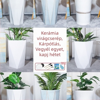 Kerámiás virágcserép padlón álló, univerzális stílus, otthoni kertészkedésre