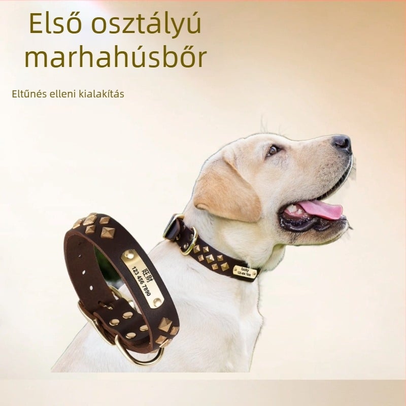 One Tail bőr kutyanyakörv – rácsmintás, hip-hop stílus, minden évszakra