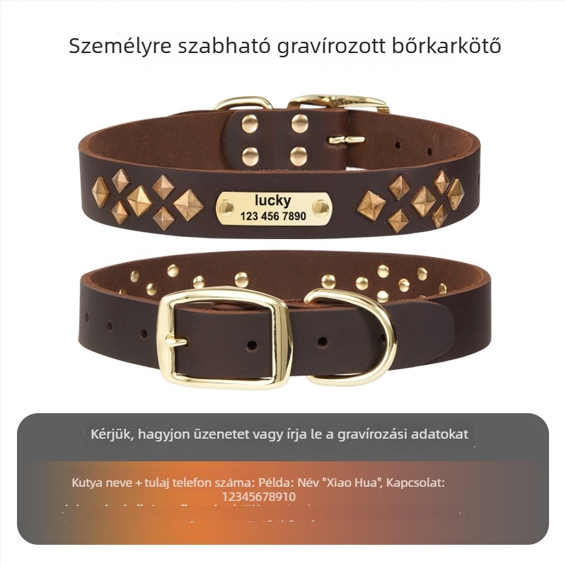 One Tail bőr kutyanyakörv – rácsmintás, hip-hop stílus, minden évszakra