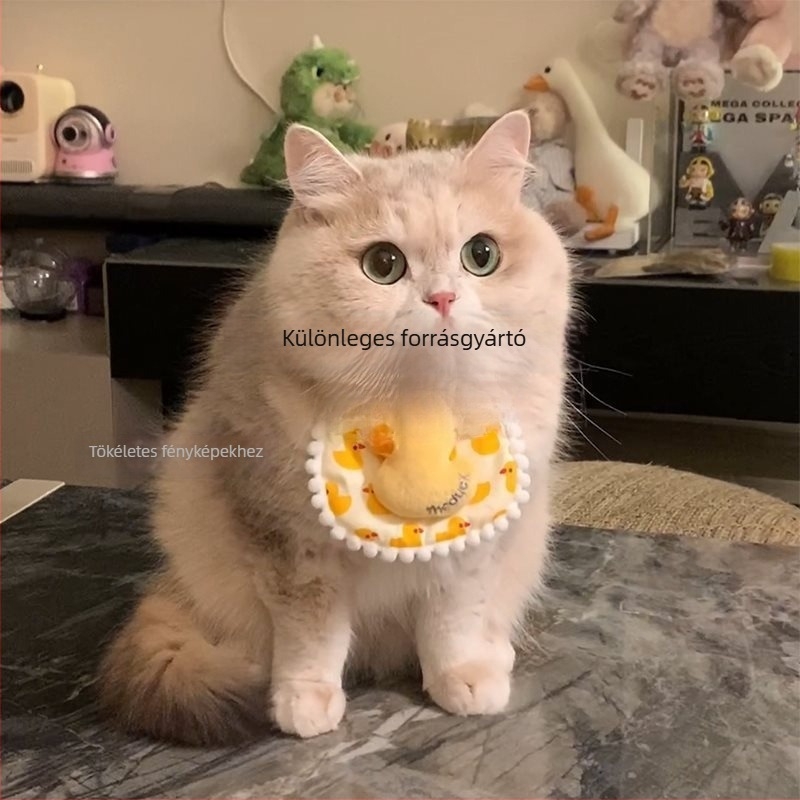 Állatbarát textil nyakbib díszes csipkével, kézzel kötött nyálkendő, univerzális macskáknak és kutyáknak, Jiangsu eredet, laza stílus