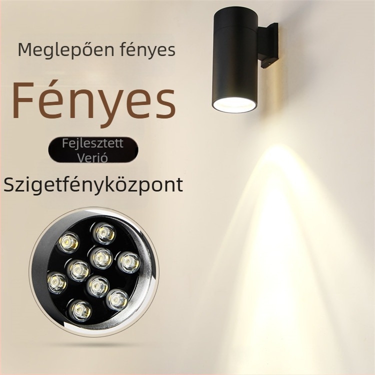 Kültéri falikar MH-13, 111-240V, 12 LED, IP65, színhőmérséklet 3000/6000K