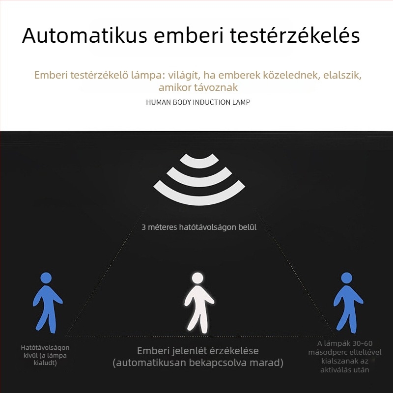 Napelemes LED külső lámpa mozgásérzékelővel, IP65, kertbiztonsági lámpa