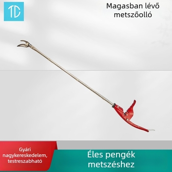 1 m hosszú rozsdamentes acél teleszkópos gallyvágó olló, 1,5 m-es elérhetőséggel, gyümölcs szedéshez és magaslaton történő metszéshez — kerti eszköz
