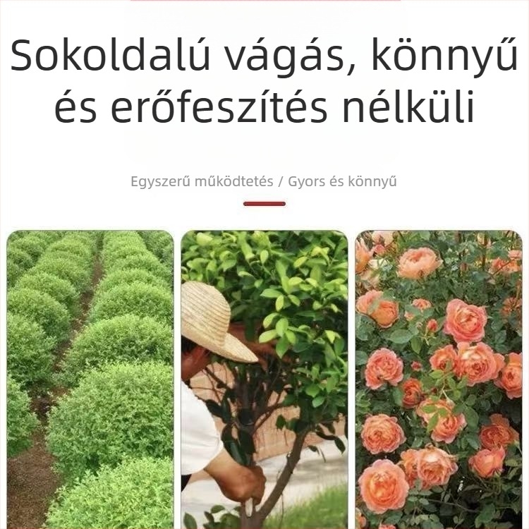 Rozsdamentes acélból készült metszőolló, madárcsőr formájú design, TPR fogantyúk, finom polírozás, modell 168A