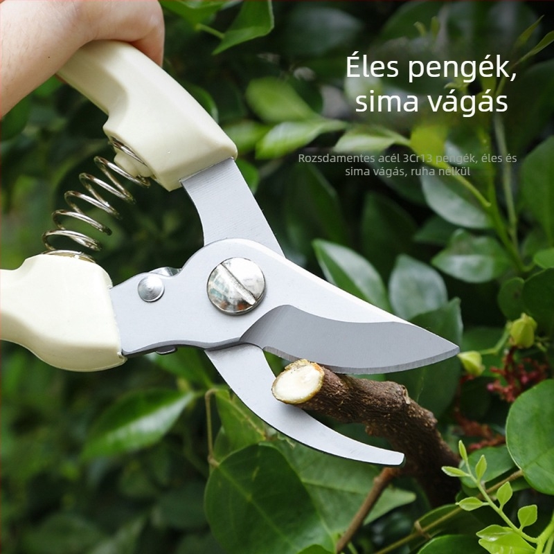 Metszőolló – Multifunkcionális kerti olló gyümölcsöskertben történő szedéshez és ágak vágásához