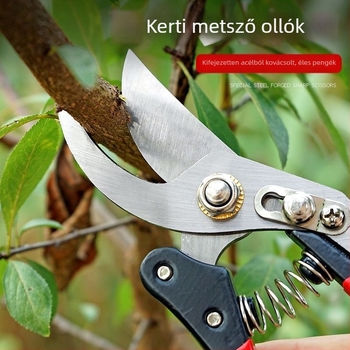 Gyümölcsfa metszőolló — Háztartási kertészeti eszköz virágvágáshoz, gyümölcs szedéséhez, ágak metszéséhez, graftoláshoz