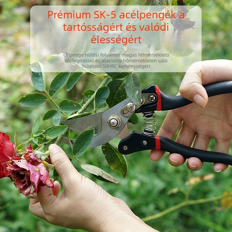Gyümölcsfa metszőolló — Háztartási kertészeti eszköz virágvágáshoz, gyümölcs szedéséhez, ágak metszéséhez, graftoláshoz