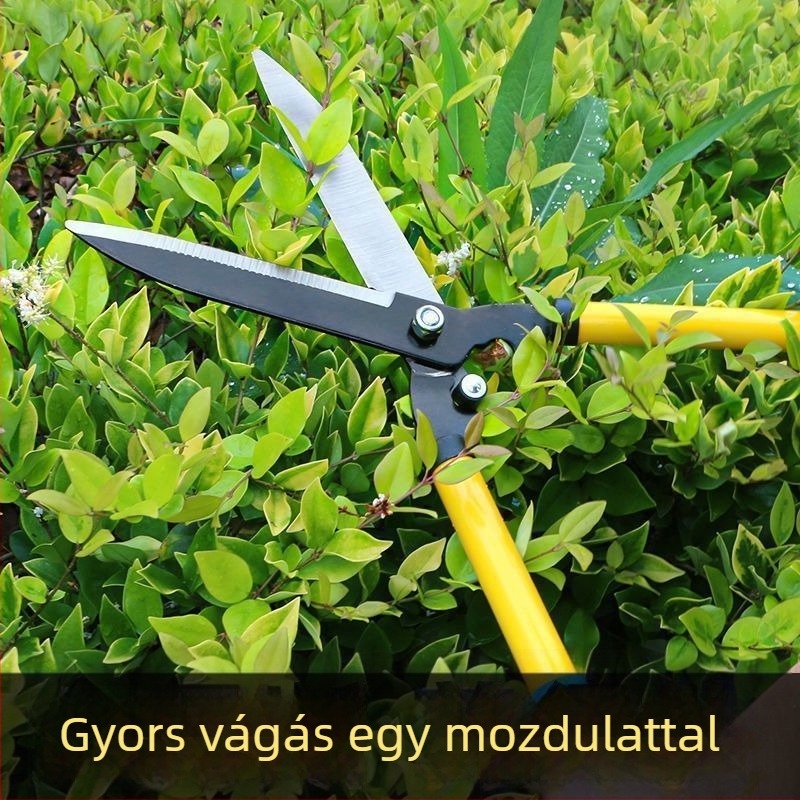 Kertészeti metszőolló vastag ágakhoz és gyümölcsfákhoz – erőteljes, ideális a gyepre és a virágoskertbe