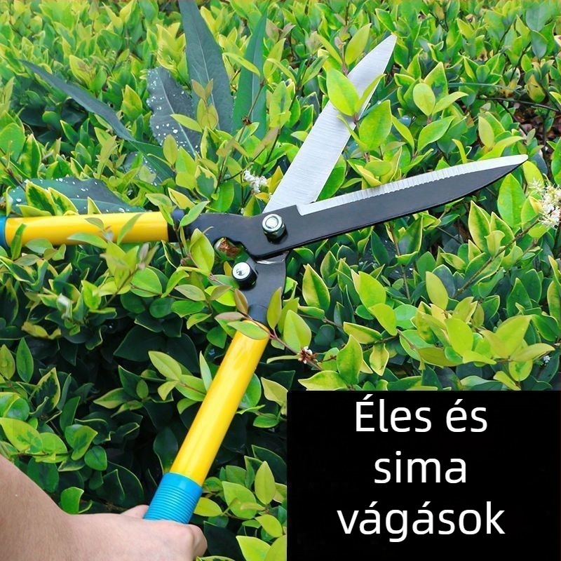 Kertészeti metszőolló vastag ágakhoz és gyümölcsfákhoz – erőteljes, ideális a gyepre és a virágoskertbe