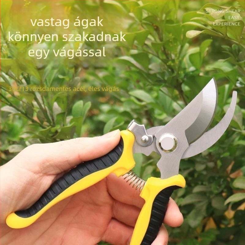 Kertész metszőolló – rozsdamentes acél, kímélő használat, virágok és gyümölcsfák metszésére