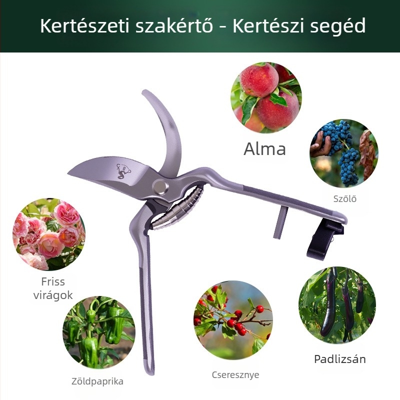 Metszőolló szénacélból – kertészeti eszköz, Márka Other, Származás Shandong
