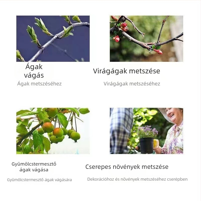 Rozsdamentes acél metszőolló, ágvágó olló, beültetésre alkalmas, kerthez és gyümölcsfák ágaihoz, saját márka
