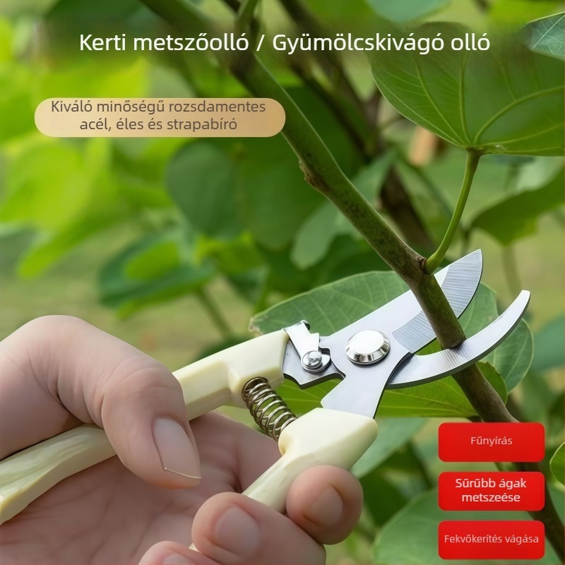 Qiling Erős kerti metszőolló gyümölcságak metszésére, eredeti új modell otthoni használatra