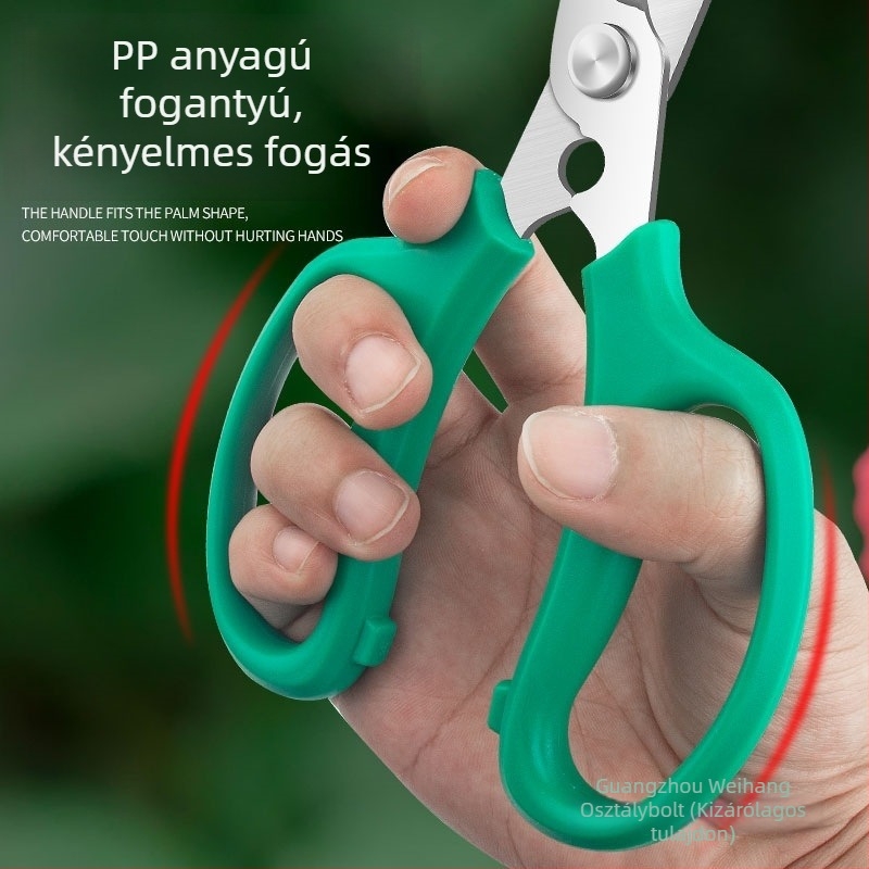 Virágkötő olló virágdíszítéshez, metszőolló, kertészeti eszköz — Márka Other
