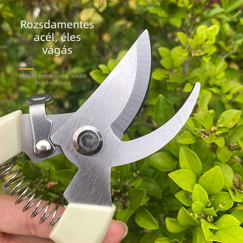 Kerti metszőollók — rozsdamentes acél, Record work márka, gyümölcs- és virágágak metszésére