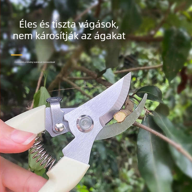 Kerti metszőollók — rozsdamentes acél, Record work márka, gyümölcs- és virágágak metszésére