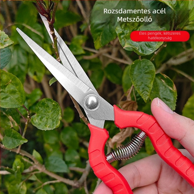 Ágak metszőollója bonsaihoz – kertészkedés, zöldségek és gyümölcsök, szabadban történő szedés