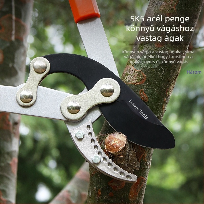Luwei Teleszkópos Metszőolló Magas Ágakhoz – Kertészeti Gyümölcsfák Metszésére, Vastag Ágakhoz