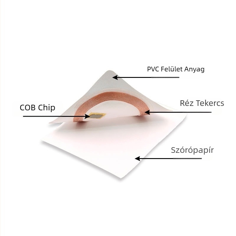Érintés nélküli okostártya, TK4168 chip, 125 kHz, 64 bájt tárhely, 100k írás/olvasási ciklusok, márka BINGRFID