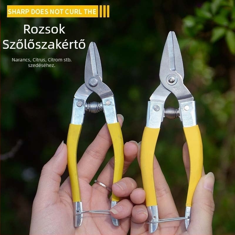 Rozsdamentes acél ágvágó olló csúszásmentes fogantyúval, metszéshez és gyümölcsbetakarításhoz