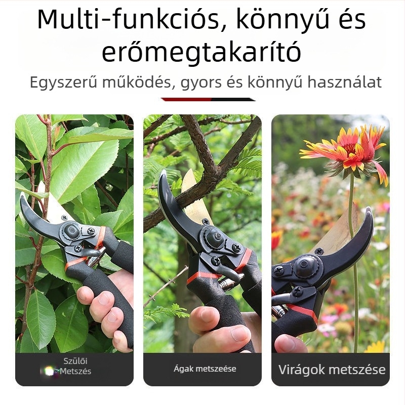Linlang kerti metszőollók gyümölcsfákhoz és ágakhoz, virágmetsző ollók, gyümölcs szedésére szolgáló ollók