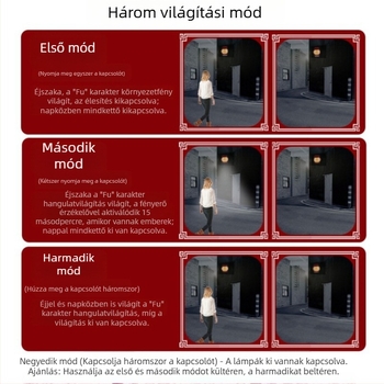 Napelemes falikar - LED, 10W, IP44, 6–12 óra üzemidő, modell Ccp030