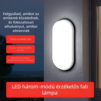 Kültéri falikar – egyszerű stílus; PC ház; SMD csomagolás; 220V; folyamatos világítás 16–24 óra
