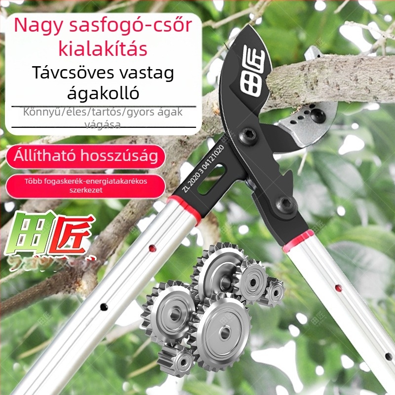 Teleszkópos gallyvágó fogaskerék hajtással – magas ágakhoz gyümölcsfákhoz a kertben