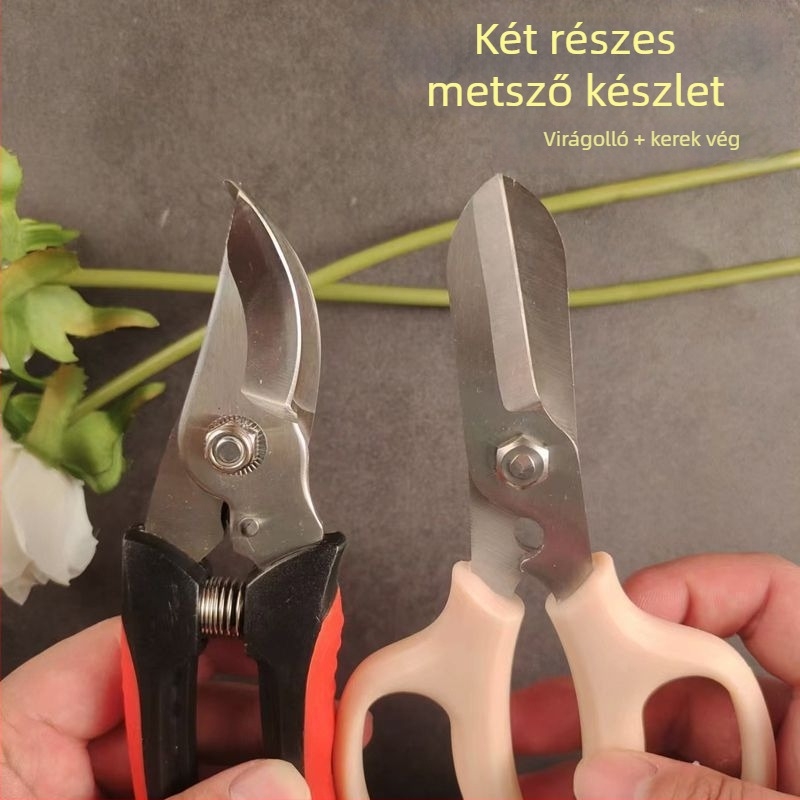 Kertészeti olló virágágak metszésére és gyümölcsfák metszésére – speciális metsző olló