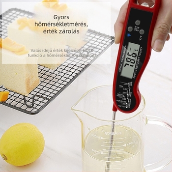 Record Work BBQ-hoz élelmiszer-digitalis hőmérő – szonda típusú, toll-stílusú, vízálló, összecsukható